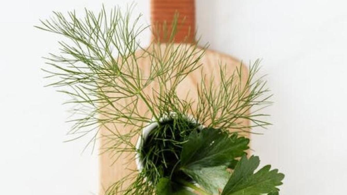 patrunjel-marar-frigider-proaspete_14937600