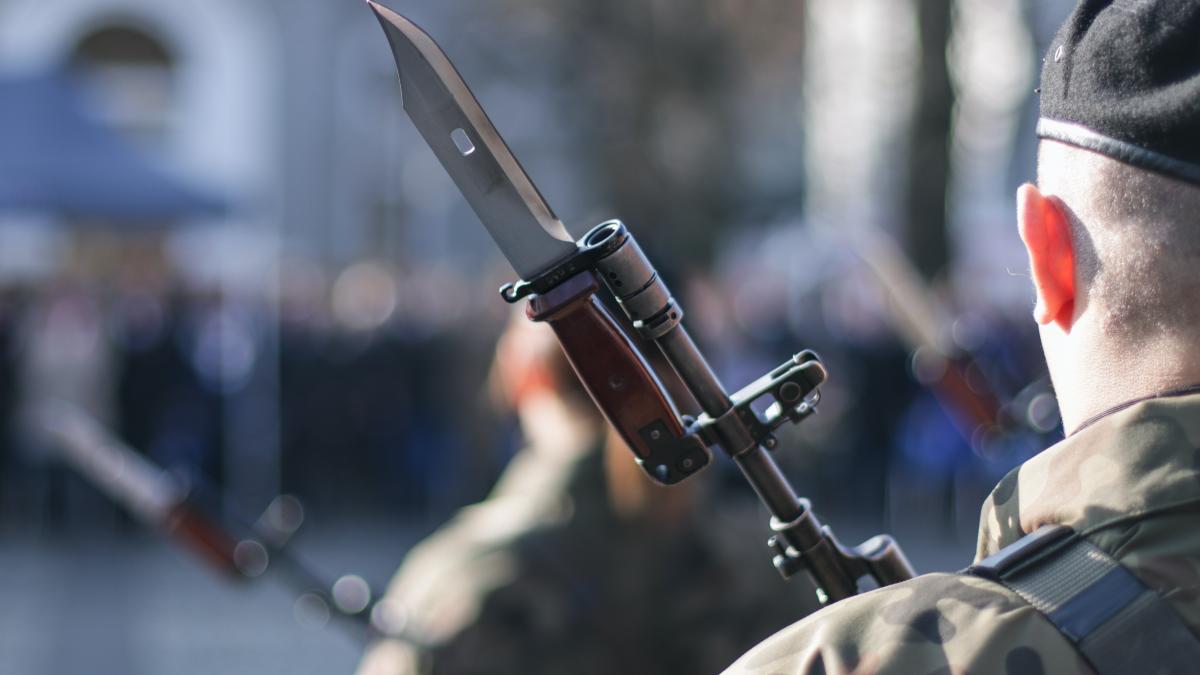 harta-prezentei-nato-in-romania-radu-tudor_74811400