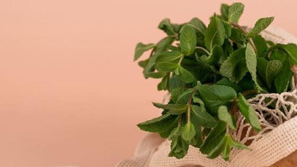 sirop-de-menta--un-deliciu-culinar-care-te-va-cuceri---racoros-si-senzational-de-bun_56096000