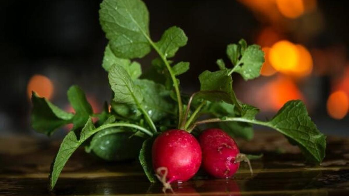 ridichi_foto_pexels_59416400