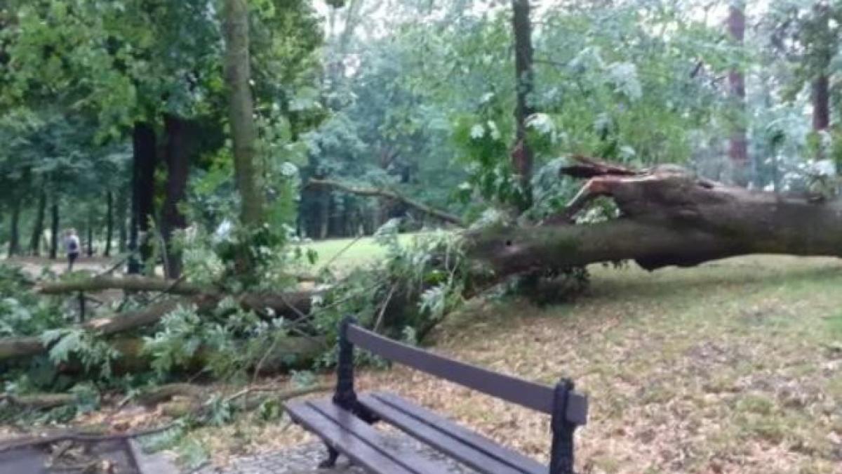 potop-necrutator-in-craiova--parcurile-au-fost-inchise--primarul-cere-guvernantilor-fonduri-de-urgenta_13506000