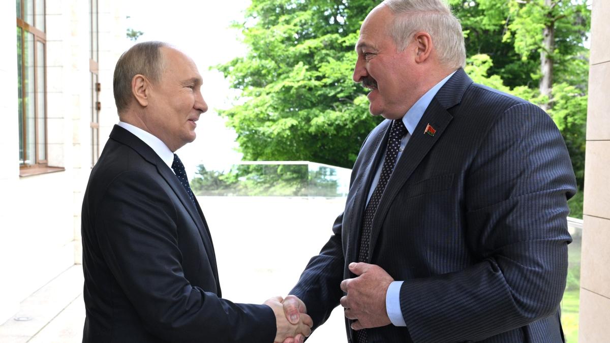 lukasesnko-putin-sustinere-rusia-vladimir-putin-zelenski-reactie_66526600