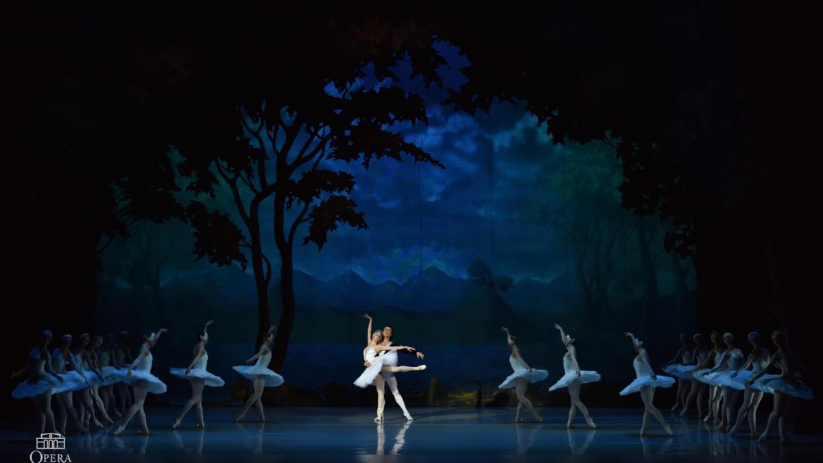 lacul-lebedelor_94524200