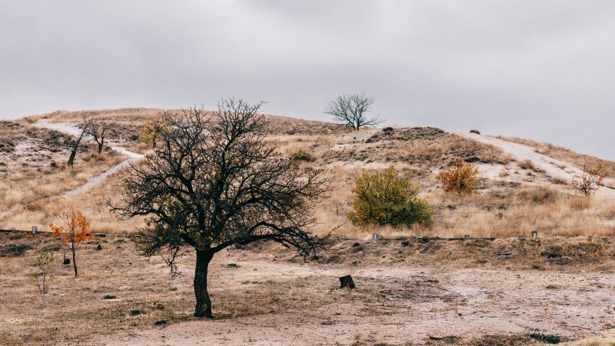 stare-de-urgenta-in-italia--din-cauza-secetei_84575800