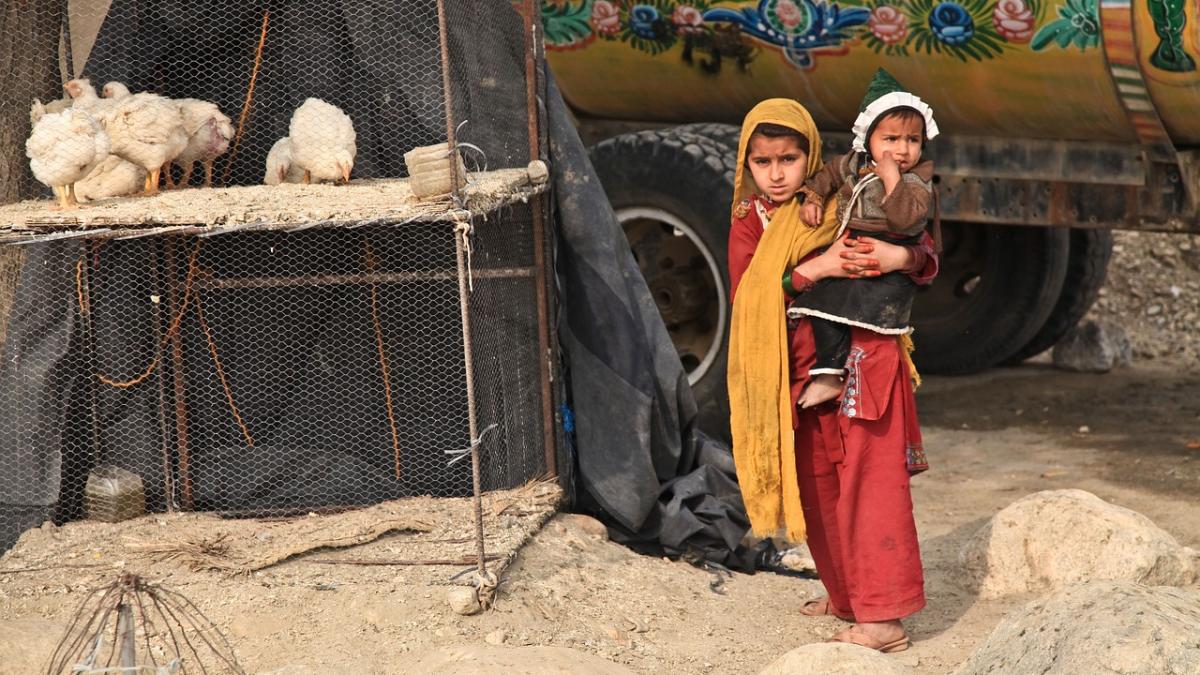 armata-turca-a-ucis-un-copil--au-tras-intr-o-masina-in-care-se-aflau-migranti_31227600