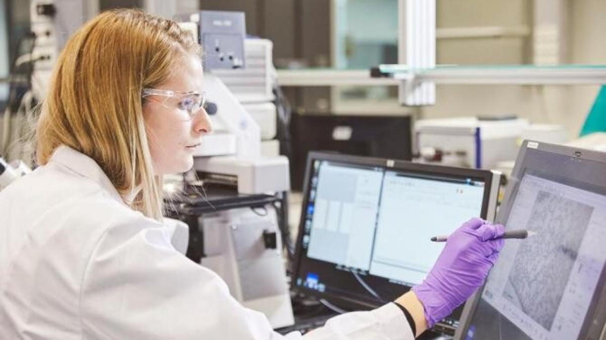 whatsapp-image-2022-07-06-at-09-27-38_32043400