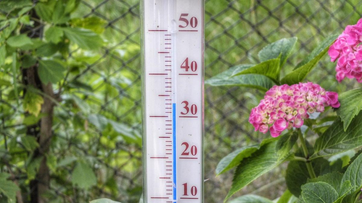 canicula_anm_vreme_pxl_36845000