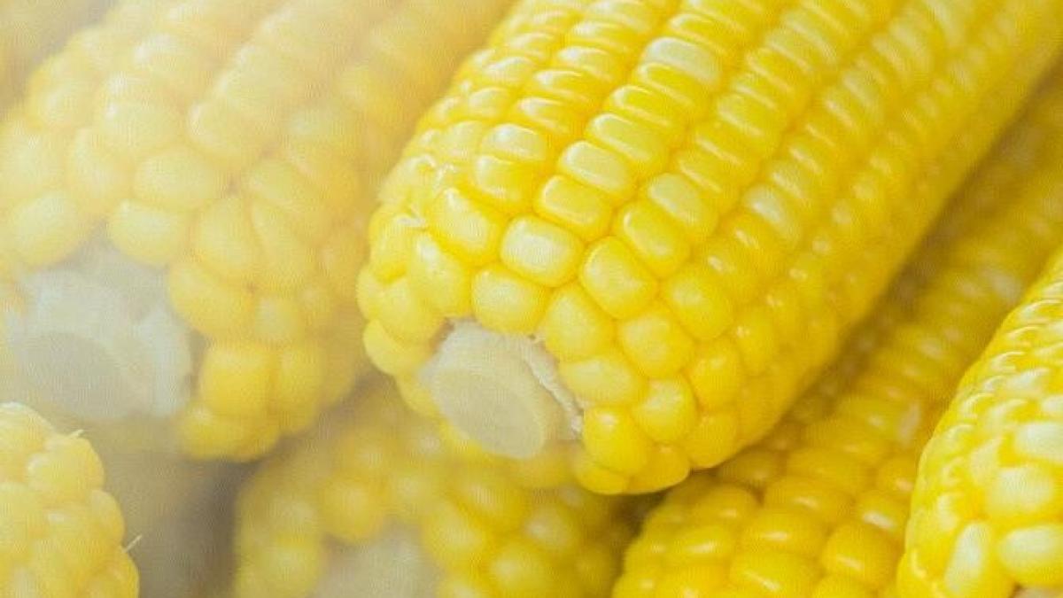 porumb-fiert--conservat-in-borcane---o-gustare-plina-de-vitamine--cand--iarna--ti-e-pofta-de-ceva-dulce_63534600