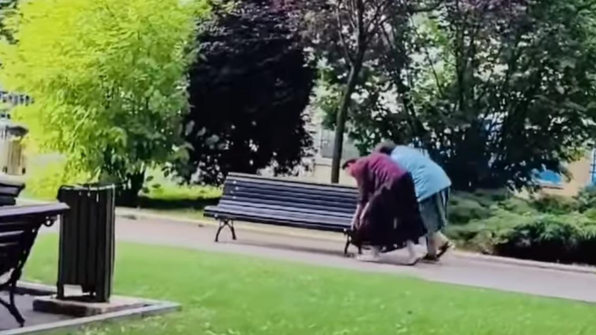 varstnicii-din-campulung-s-au-apucat-sa-mute-bancile_45637100