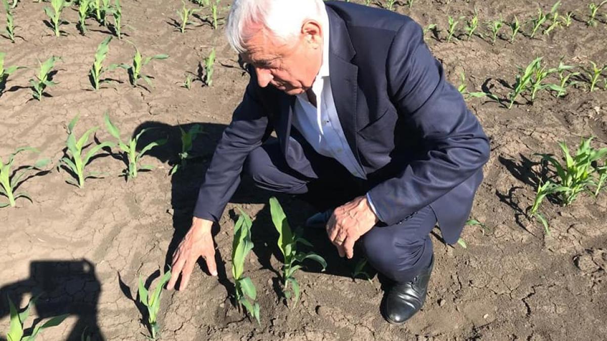 petre-daea-apa-cu-portia-seceta-romania_62326600