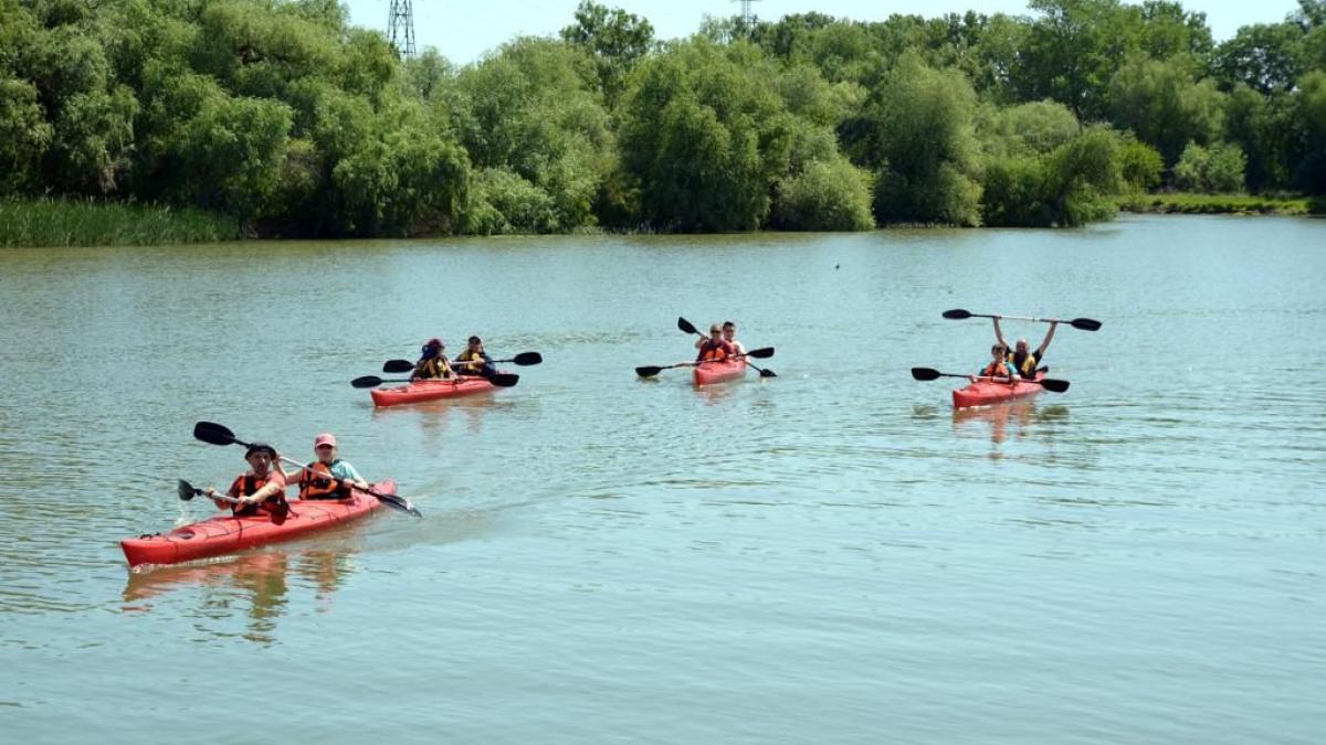 7ecc30a1-bac2-4555-bbf7-0d16fb117b6b_80470600