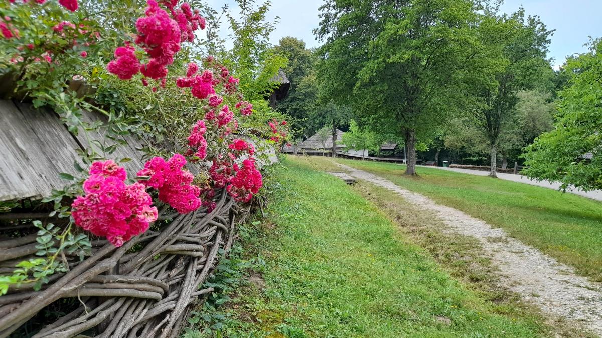 muzeu-astra-21122_23086000