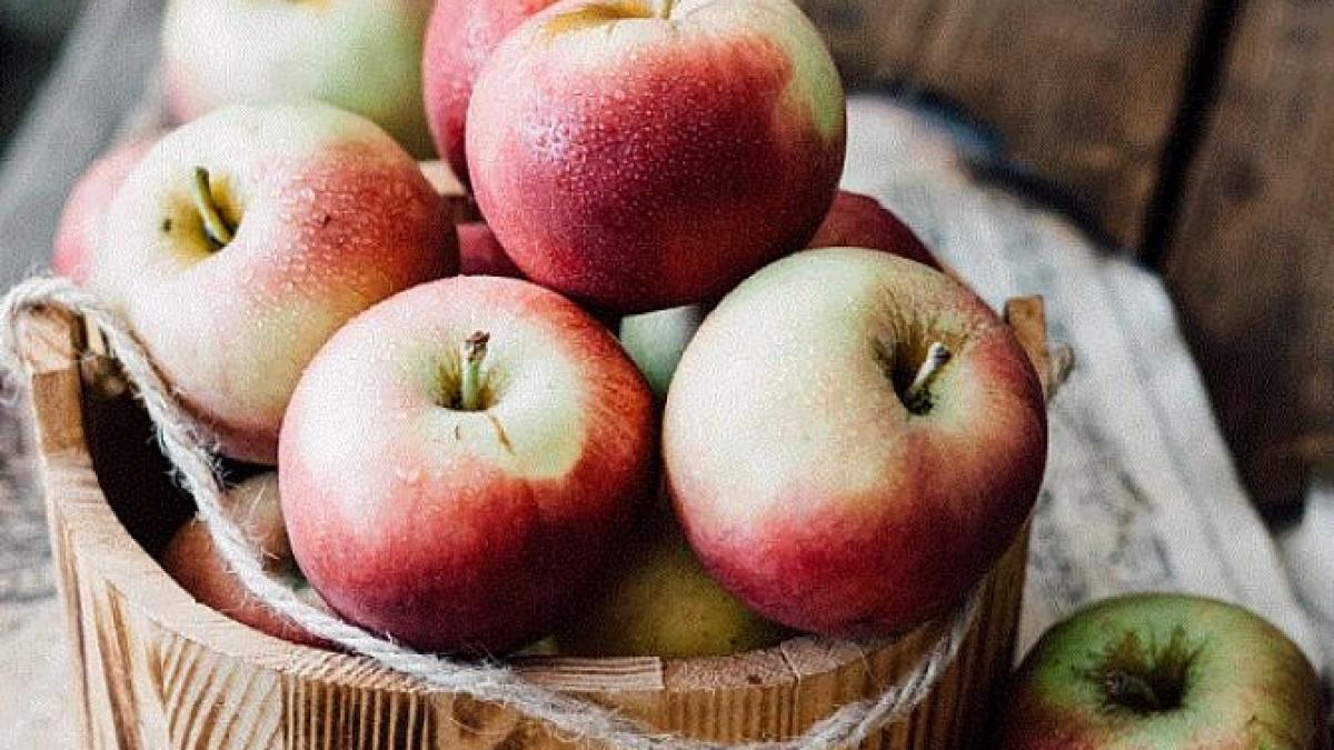 ai-trei-mere-in-camara--prepara-aceasta-placinta-cu-o-crusta-aurieprc-c2prc-a0si-crocanta_22836900