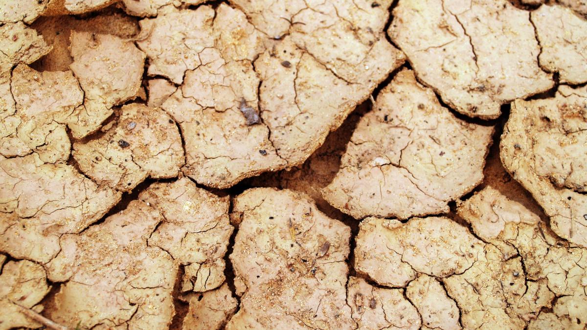 cupola-de-foc-deasupra-romaniei--elena-mateescu-va-fi-resimtita-lipsa-precipitatiilor_85331500