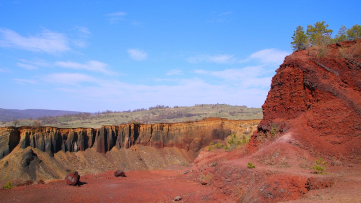 img_8761_82314300_25316400