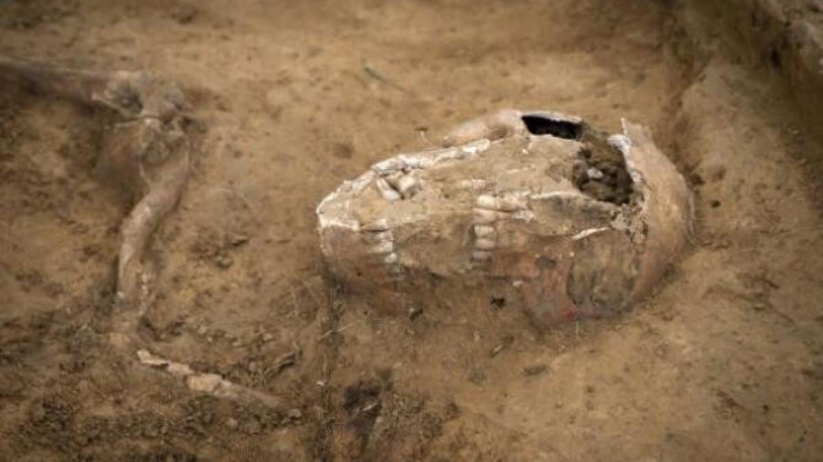 scheletele-soldatilor-cazuti-in-batalia-de-la-waterloo-au-fost-dezgropate-in-apropiere-3_77361100