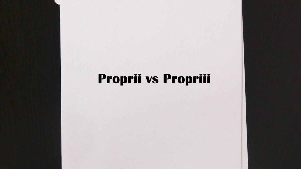 proprii_propriii_gramatica_pxl_97940100