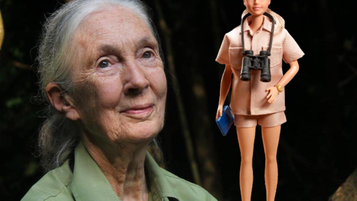 dr-jane-goodall-si-noul-model-barbie_94192500