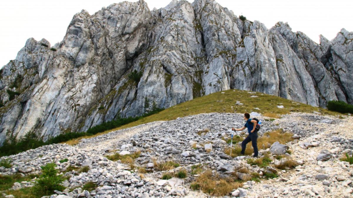 img_3645_47192700_53241700