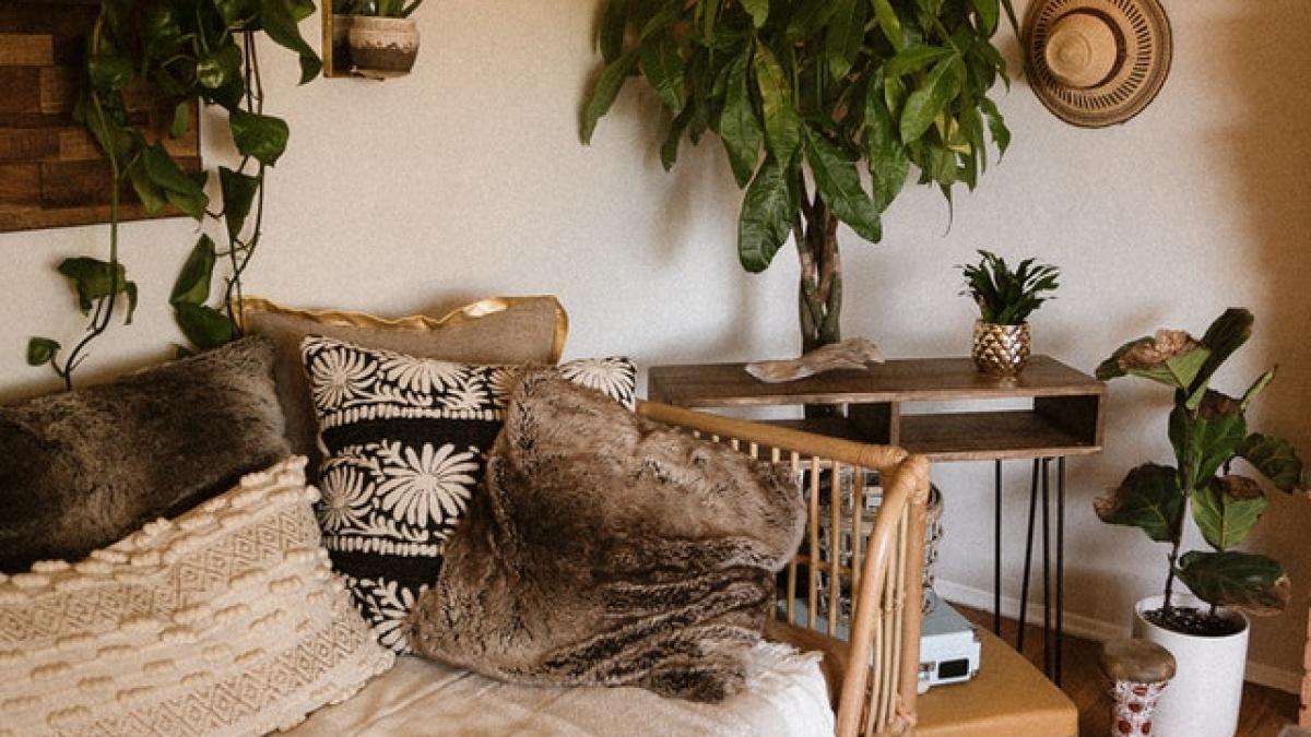 casa-ce-sa-nu-dai-noroc_47577900