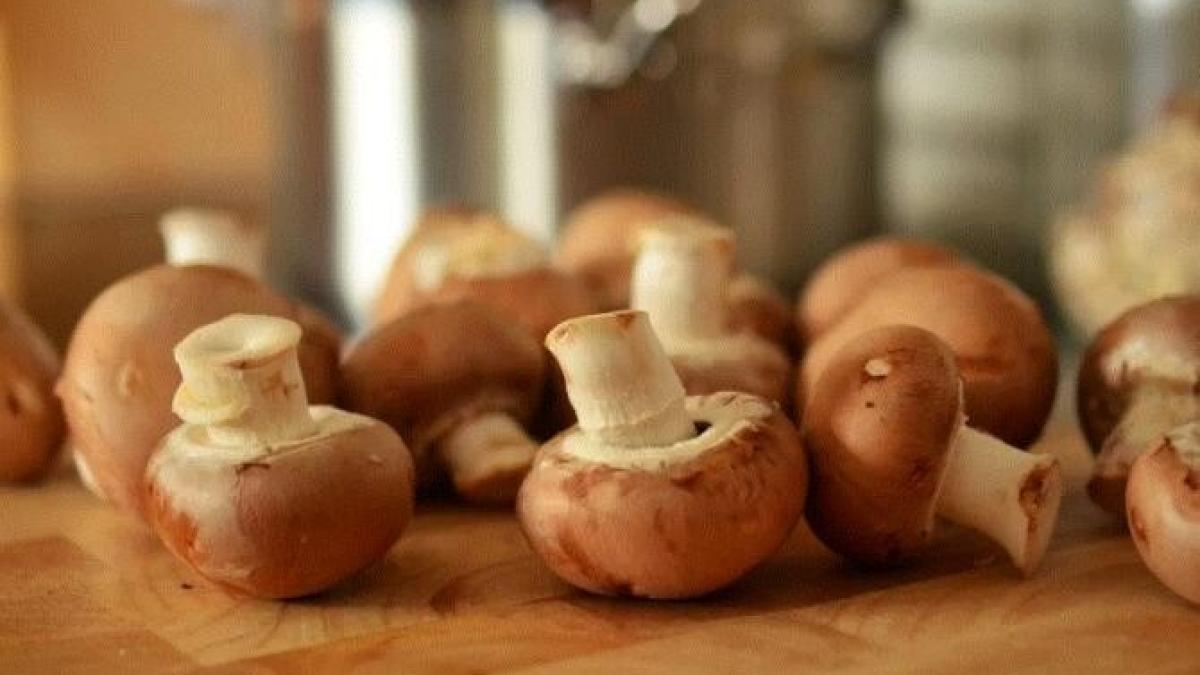 ciupercile-devin-negre-in-timpul-prajirii--cu-acest-truc-putem-pastra-culoarea-lor-naturala_38197800