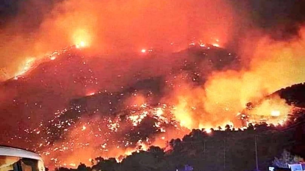 incendiile-de-vegetatie-din-creta-sunt-in-prezent-controlate-de-pompierii-aflati-in-interventie_77890100