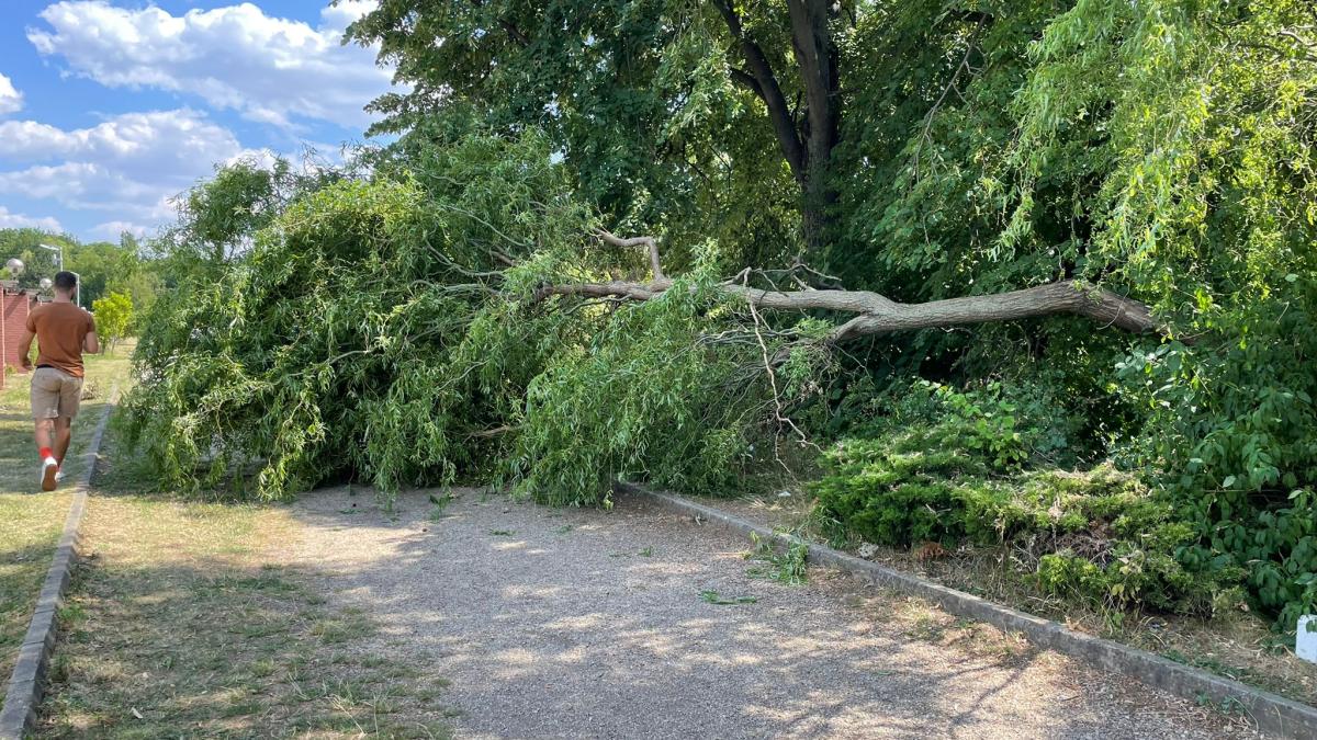 054d24e1-17f3-4892-949e-b63f192216cb_10618500