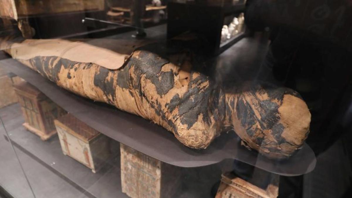 cancerul--o-boala-veche-de-milenii--o-mumie-egipteana-ar-fi-suferit-in-timpul-vietii-sale_72835600