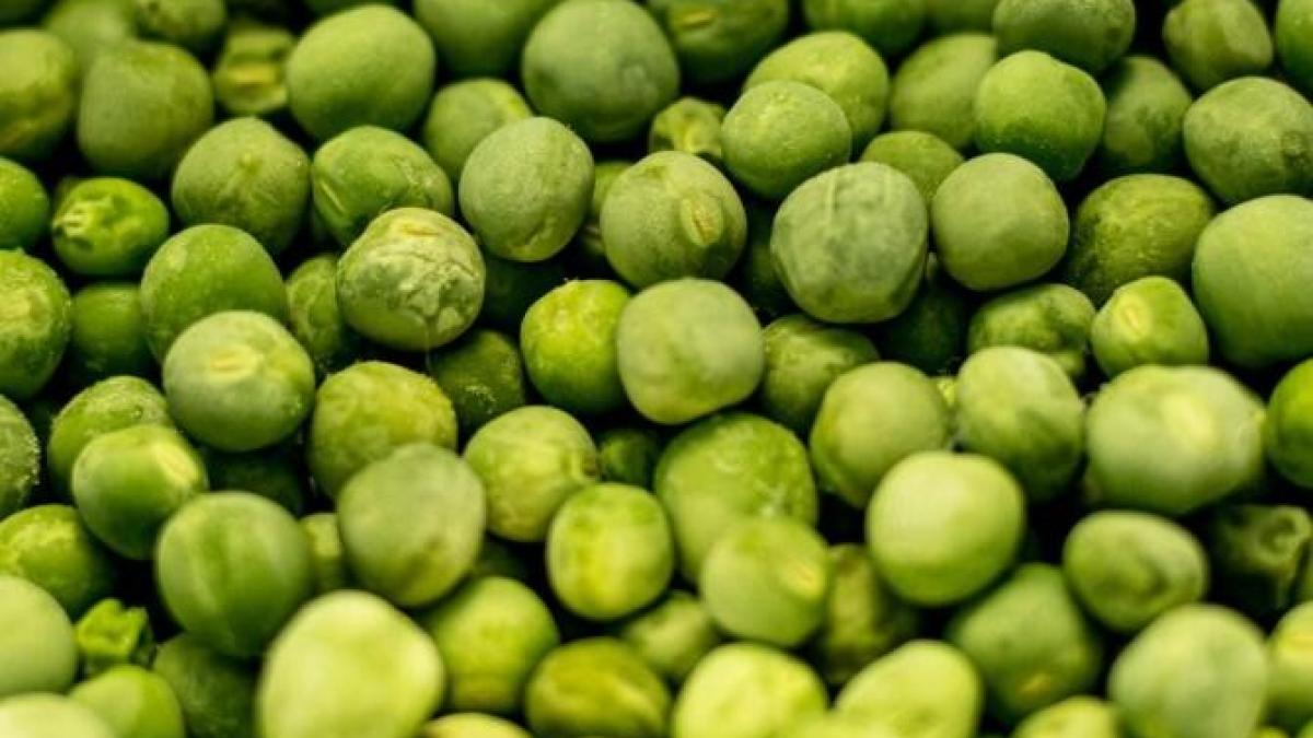 mazare_foto_pexels_60602100