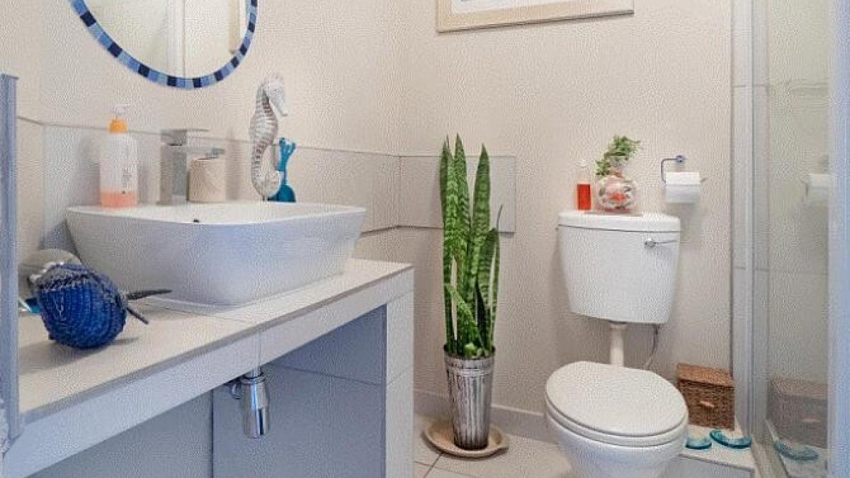 elimina-rapid-mirosul-neplacut-din-baie-cu-acest-truc-----bunicile-noaste-il-foloseau-mereu_35709000