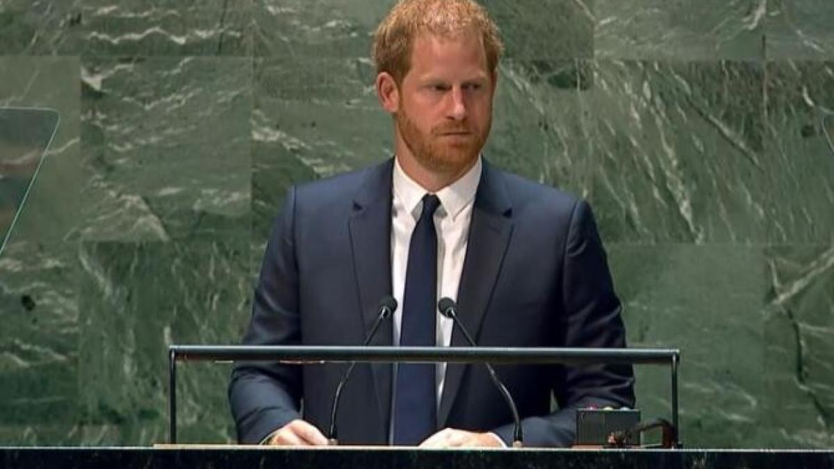 printul-harry_44451000