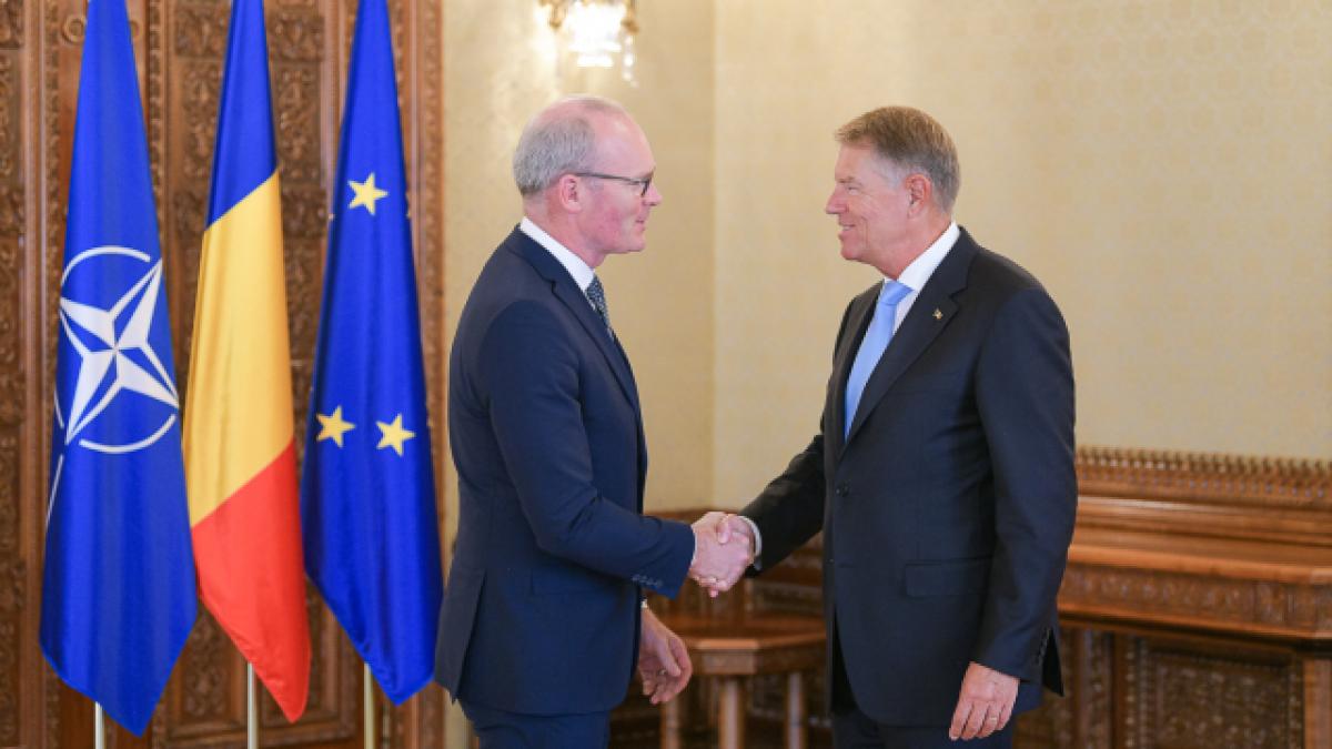 small_primirea_ministrului_afacerilor_externe_si_apararii_din_irlanda_simon_coveney_19_iulie_2022_19_56172500