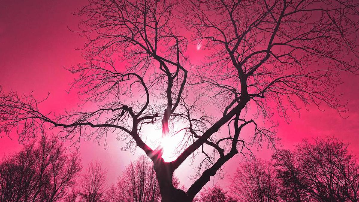 cer-roz-australia_19866500