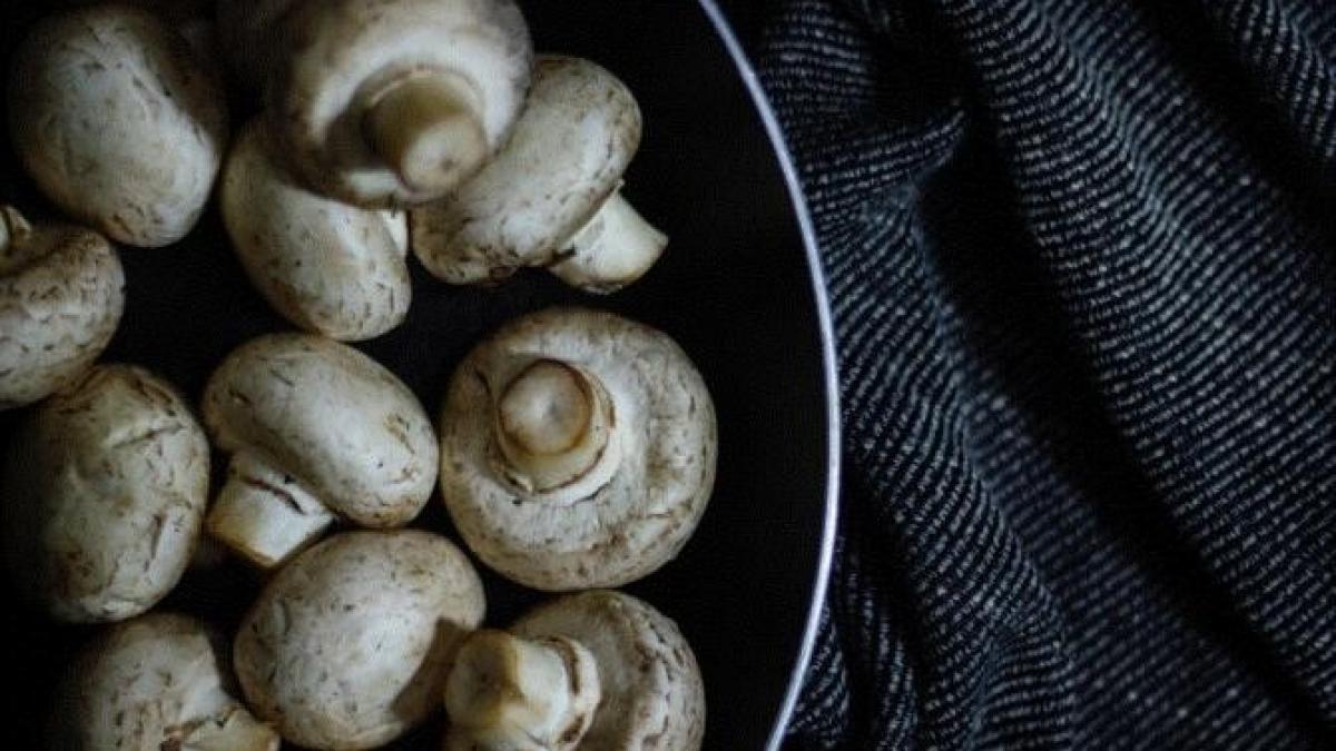 ciuperci-marinate--crocante--delicioase-si-satioase---aperitivul-poate-fi-consumat-chiar-a-doua-zi_91730900