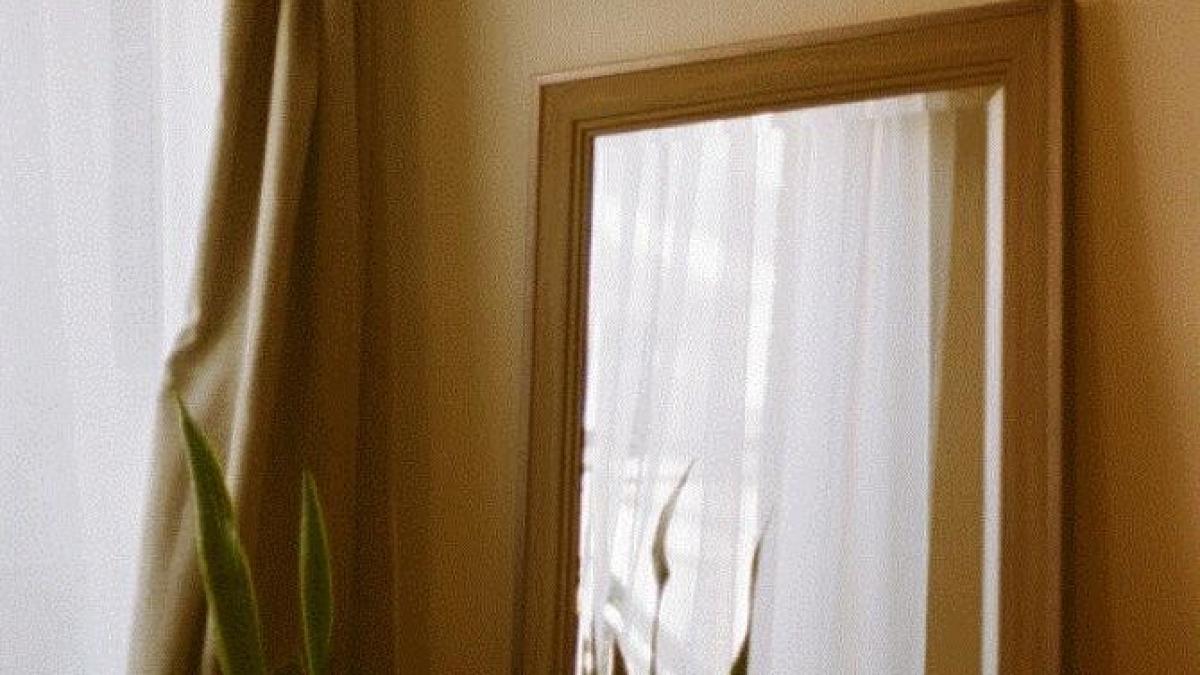 ferestrele-si-oglinzile-vor-straluci---amestecul-pe-care-il-poti-face-si-tu-pentru-o-curatenie-impecabila_80183500