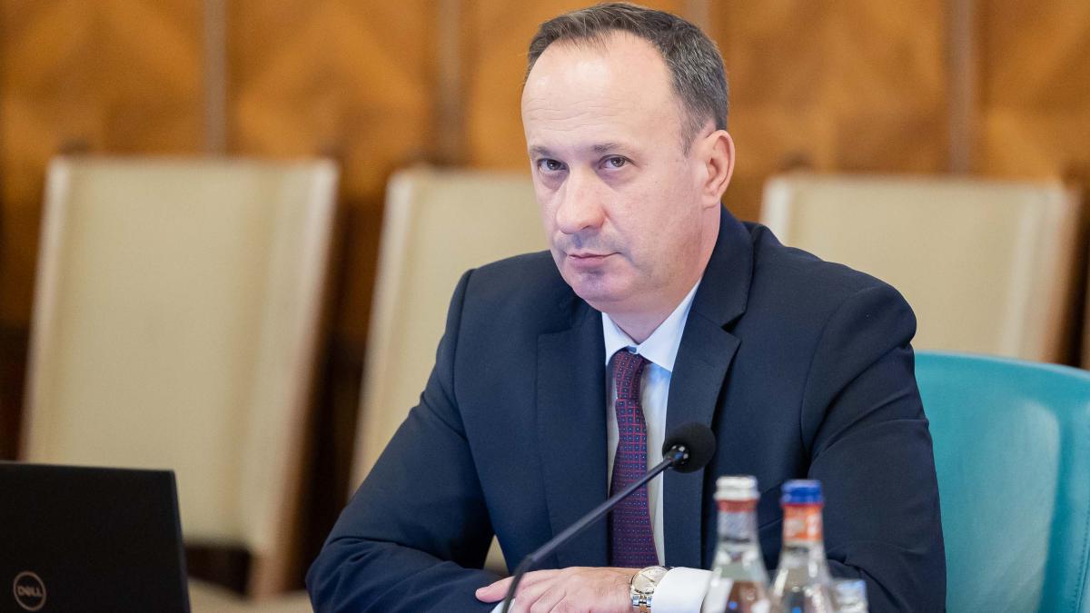 adrian_caciu_babuini_antreprenori_gov_50050600