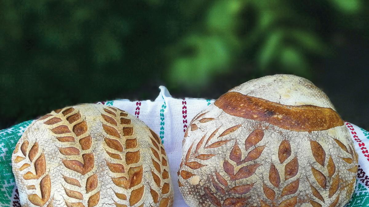 muzeul-satului-targ-paine_04946100