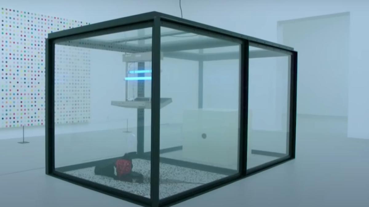 exponat-muzeu-germania_24032400