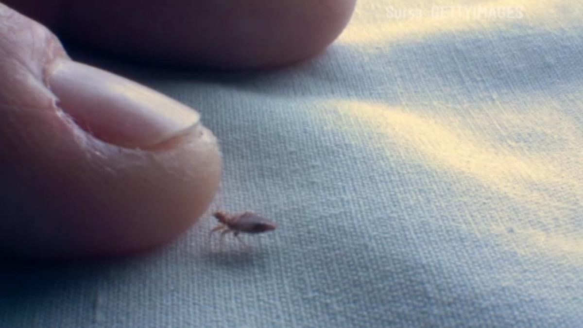 plosnite-de-pat-cum-scapam-de-ele_04945300