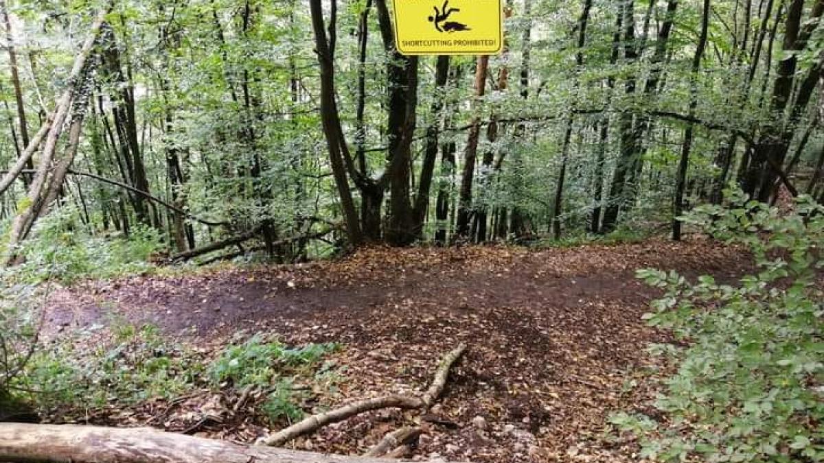 scurtaturi_munte_brasov_salvamont_fb_68991500