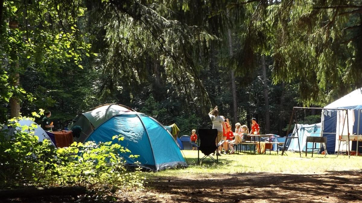 camping-crima-cort-impuscati_46505500