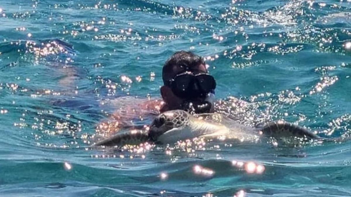 testoasa-rodos-salvata_84508100