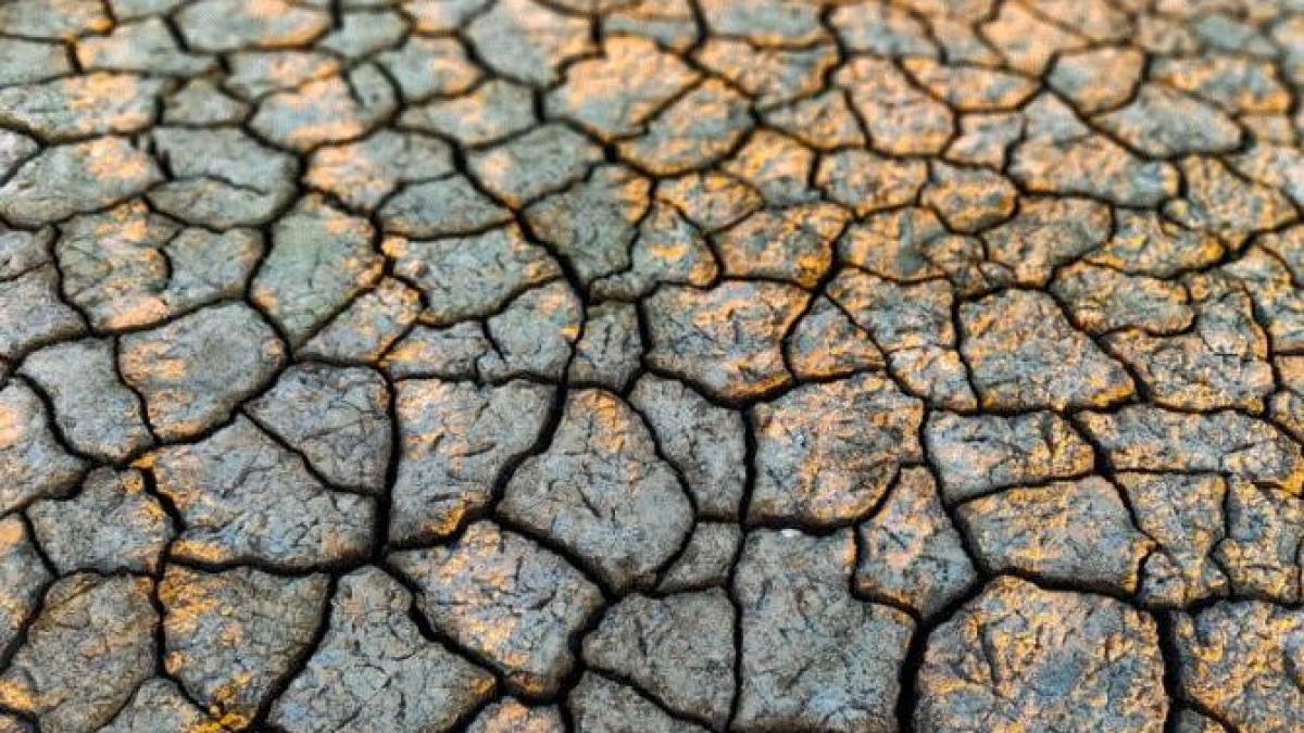 situatie-fara-precedent-in-ultimii-70-de-ani--in-dolj--dunarea-a-scazut-7-cm-intr-o-zi-si-nu-se-mai-poate-iriga_10486300