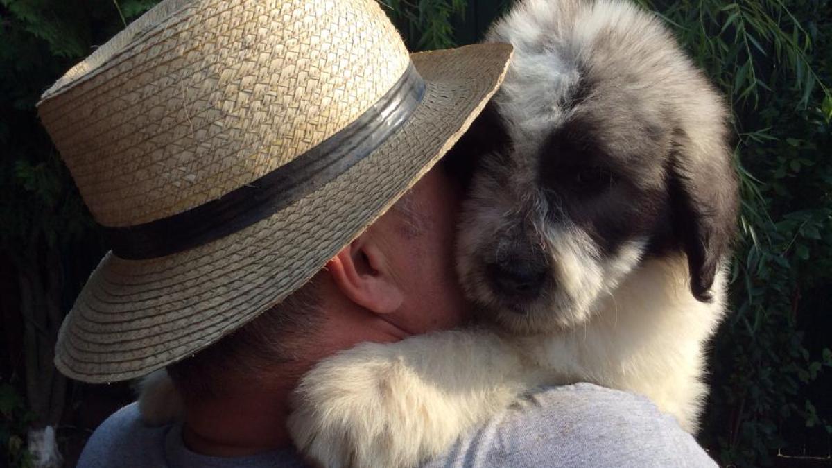 canicula-caldura_43834300