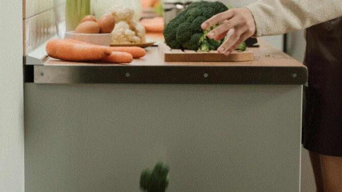 cosul-de-gunoiul-miroase--vara--urat---puteti-rezolva-problema-rapid-si-cu-putine-costuri_32382500