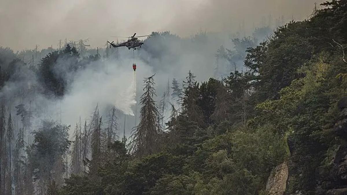 fumul-incendiilor-din-cehia-intoxica-tara--oamenii-sunt-sfatuiti-sa-inchida-geamurile-si-sa-stea-in-casa_61500900