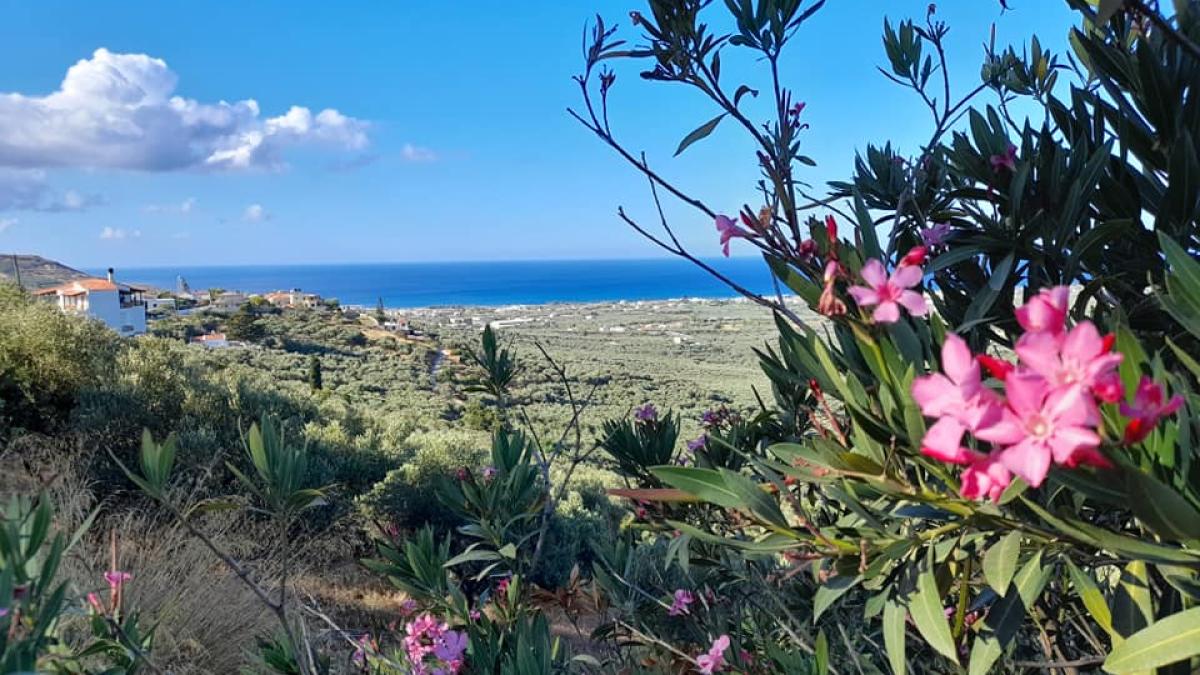 insula-creta-7_26725000_16887200