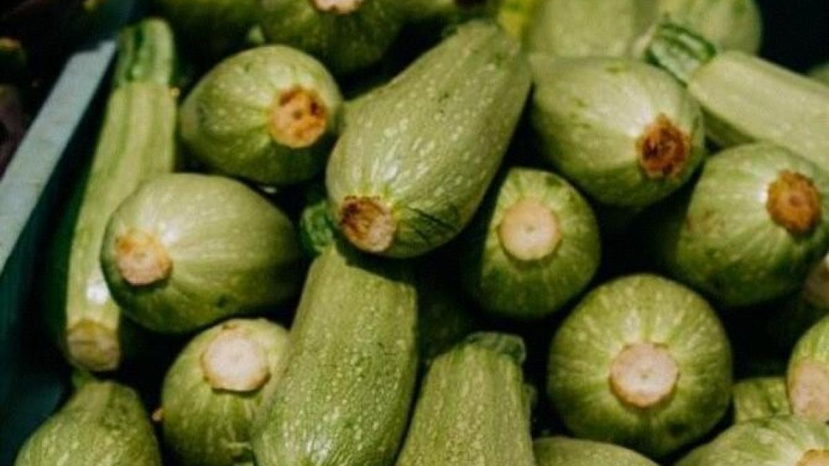 rulada-din-dovlecei----dupa-ce-o-vei-gusta--nu-vei-mai-praji-niciodata-aceste-legume_32108100