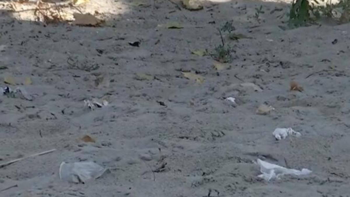 plaja-romania_98126700