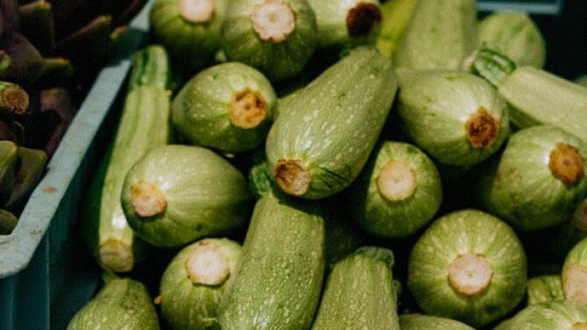 dovlecei-prajiti-in-pesmet---o-mancare-gustoasa--preferata-in-timpul-verii_40402200